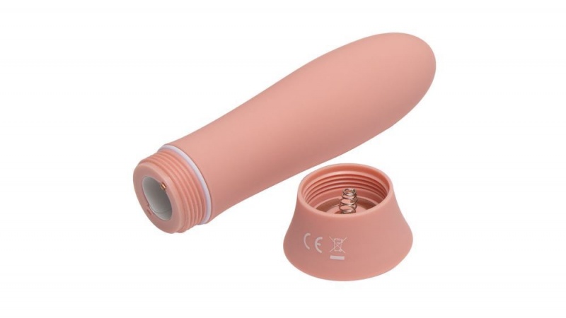 Fleshlight Poppy Bloom Bullet Vibrators | IRELAND GSJBH3129