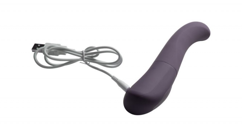 Fleshlight Tulip Bloom G-spot Wand Vibrators | IRELAND NXUPB2978